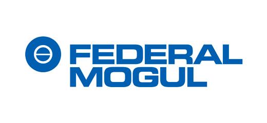 FEDERAL MOGUL